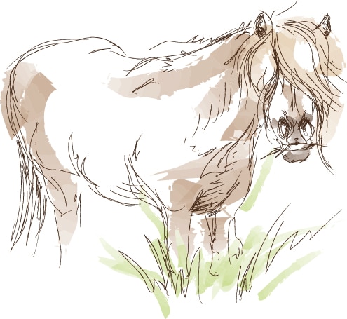 Werbemittel 2G Media & Marketing Glonn Broschüre Hausprospekt Reinzeichnung Mediengestaltung Satzstudio Grafik Illustration Zeichnung Vektorgrafik Ebersberg