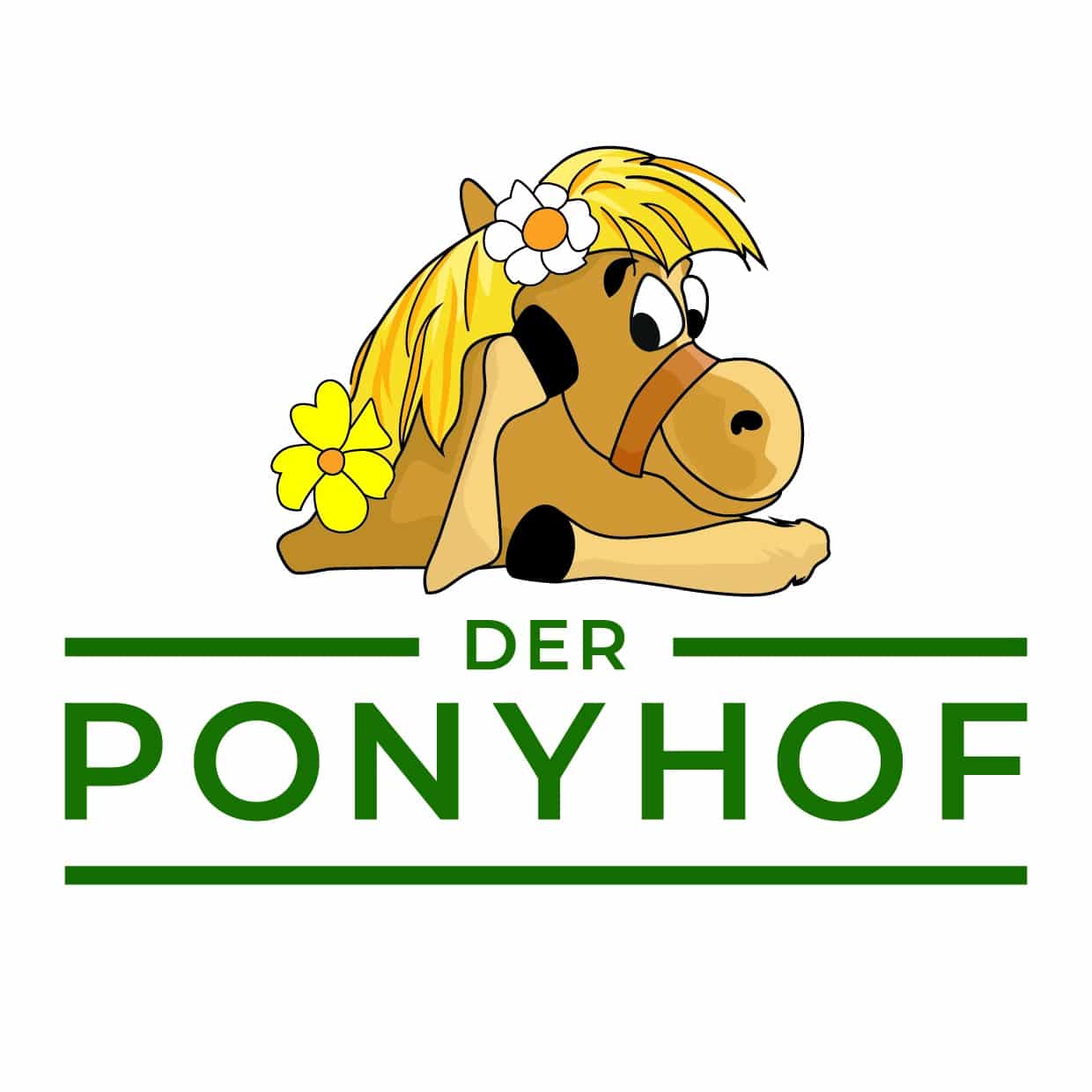 2G Media & Marketing Ponyhof Webdesign Logo Logodesign Branding