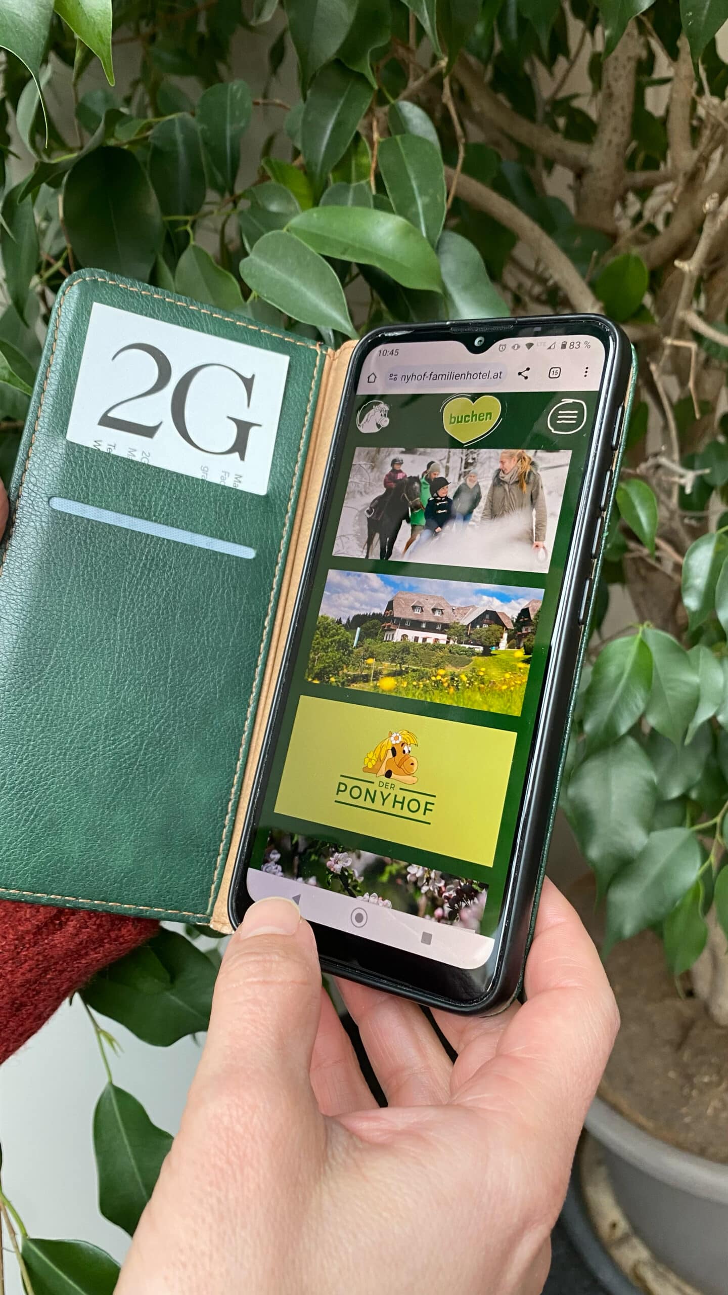 2G Media & Marketing Ponyhof Webdesign Logo Logodesign Branding